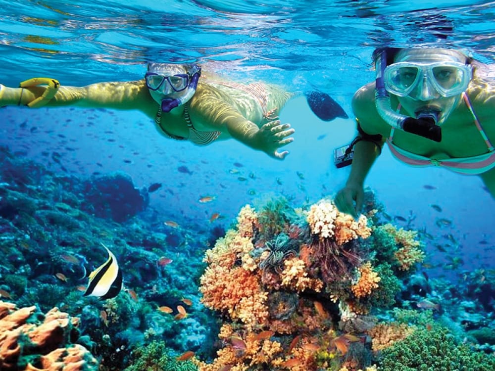 Si lo que quieres es un poco de aventura, podrás contratar servicios como actividades de buceo, snorkel en el arrecife de coral