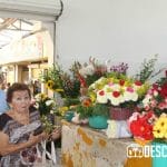 Imágenes del parque de Santiago en el Centro Histórico de Mérida