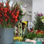 Imágenes del parque de Santiago en el Centro Histórico de Mérida