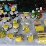 Imágenes del parque de Santiago en el Centro Histórico de Mérida