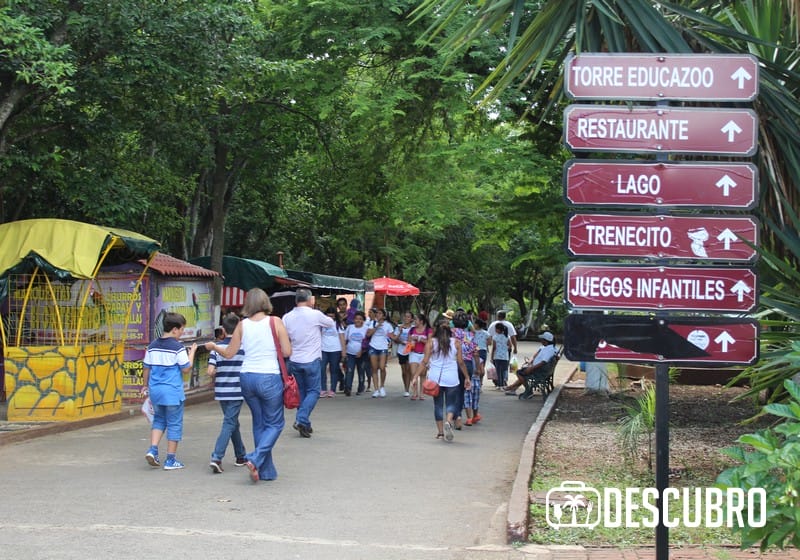 Conoce los principales atractivos del parque zoológico del Centenario