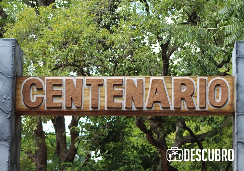 El recorrido en el tren del Centenario es un recorrido por la periferia de todo el zoológico 