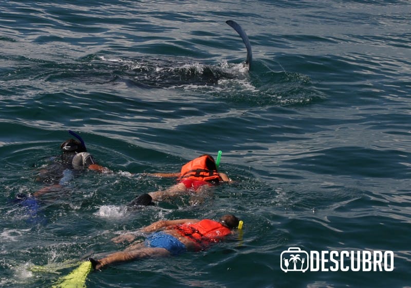 Si quieres vivir esta experiencia debes saber que el costo por persona es de $1,500 niños y adultos.