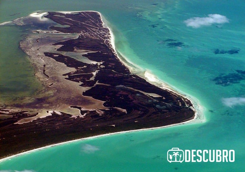 La isla de Holbox, cuyo significado es “hoyo negro”, es el paraíso para el avistamiento del tiburón ballena