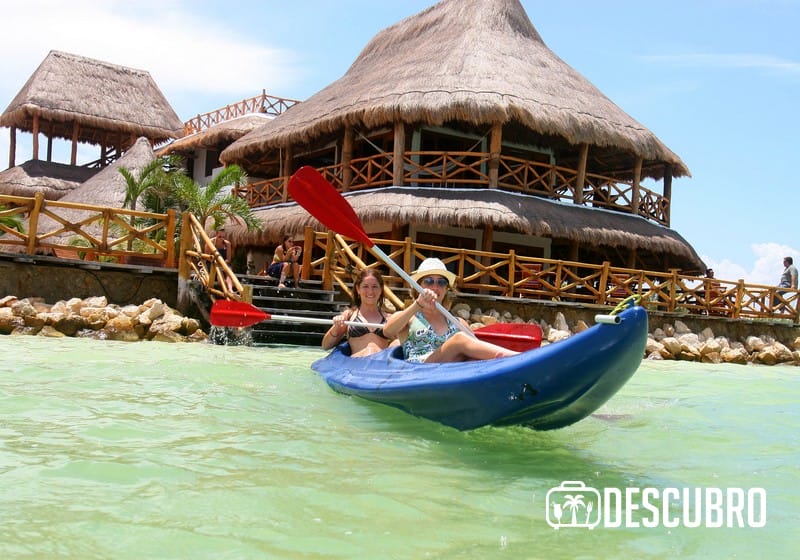 Hay recorridos en lancha diseñados para observar tortugas, mantarrayas, arrecifes y otros atractivos más