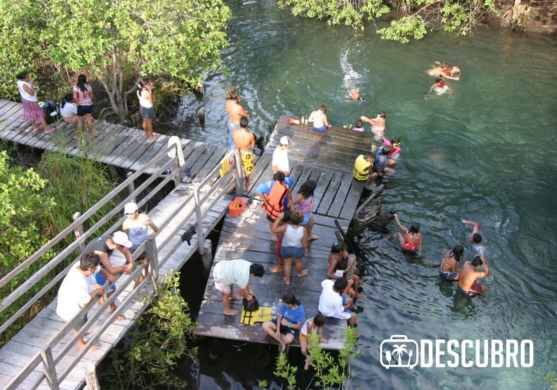 Los tiburones atraen a muchos turistas durante el verano