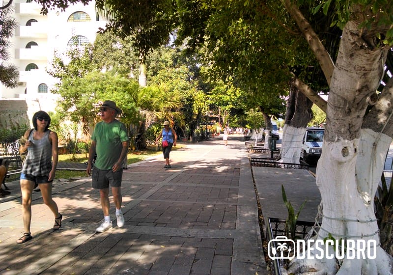 se dice que el diseño y trazo original de la ciudad de Mérida era rectangular, no tenía avenidas y hasta el año 1832 únicamente tenía 4 paseos