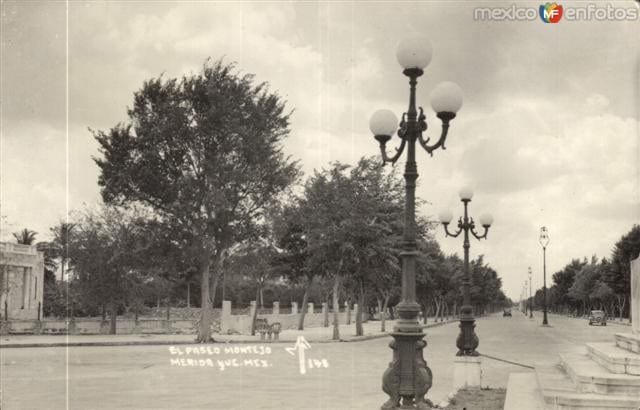 Foto de Paseo de Montejo.- Foto de Reporte Yucatán