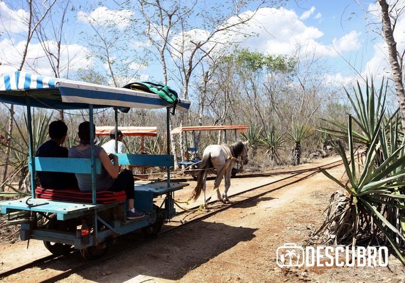 Imágenes del recorrido por los cenotes de Cuzamá. Parador turístico de Xtojil.