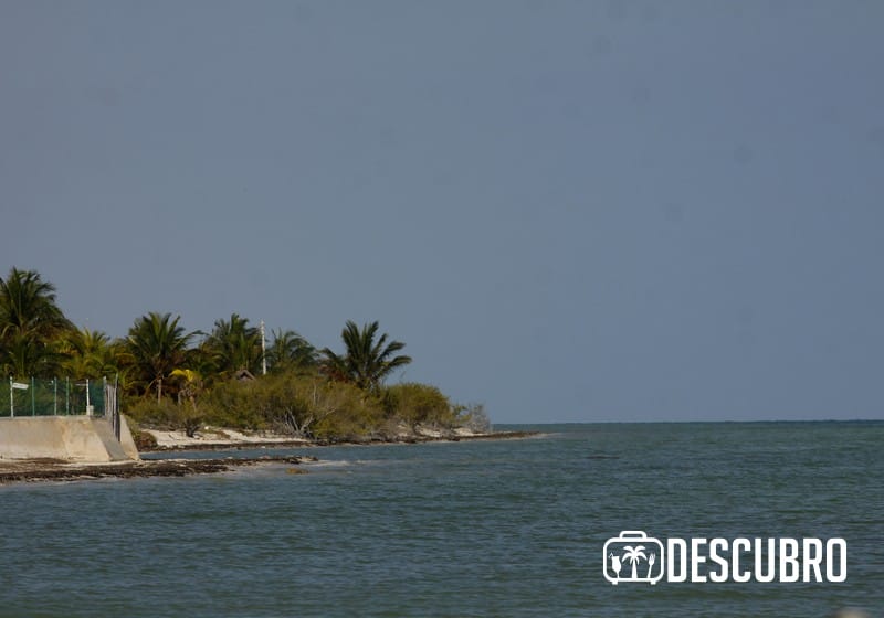 Imagen del puerto de San Crisanto.- FIdel Interián Jiménez