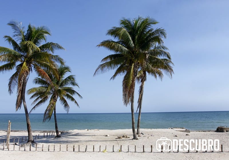 Los atardeceres en el puerto de San Crisanto tienen fama por su extraordinaria belleza- FIdel Interián Jiménez