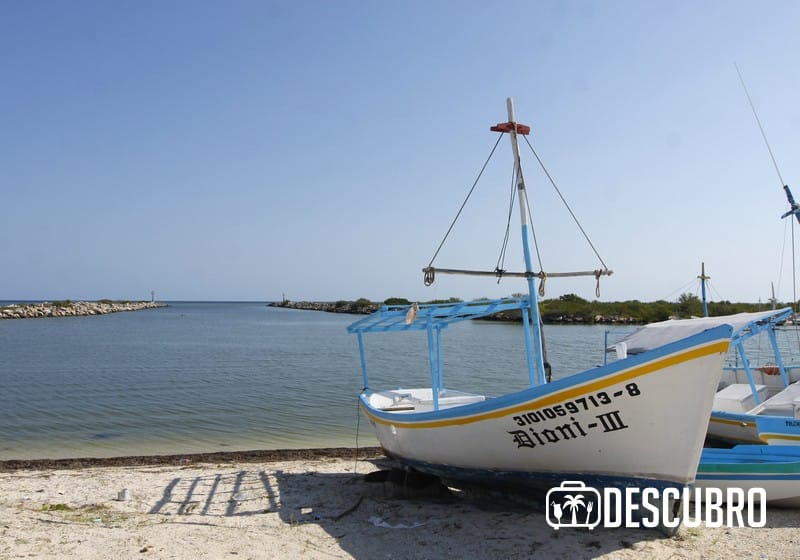 No olvides llevar tu cámara en tu visita al puerto de San Crisanto.
