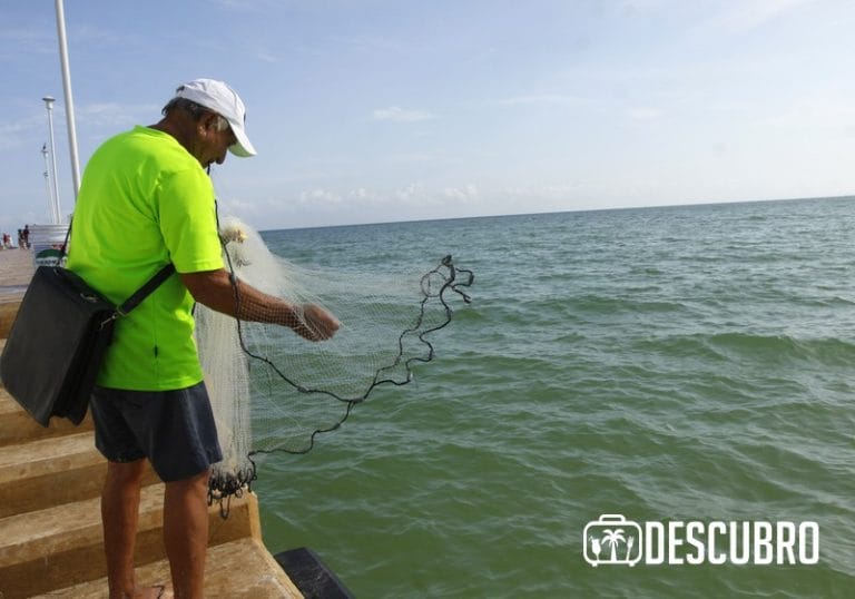 Las 5 playas más cercanas de Mérida, Yucatán, visítalas - Descubro