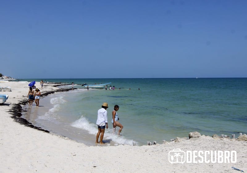 Conoce el puerto de Chelem, una joya de la costa yucateca