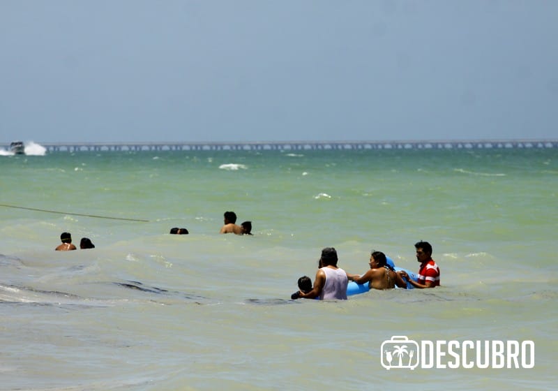 Imágenes de los visitantes del puerto de Chicxulub 