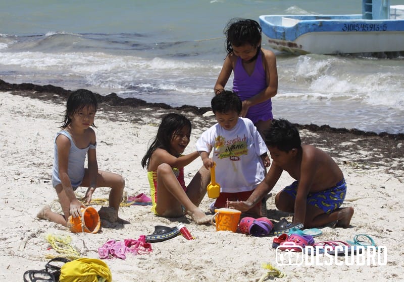 Aspectos de los visitantes de Chicxulub
