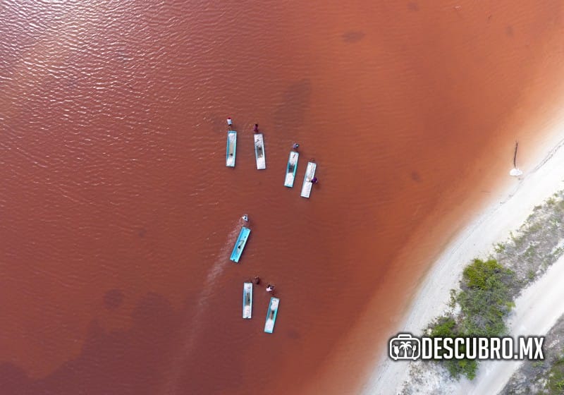 Recorrido por las Charcas salineras del puerto de Celestún.- Foto Luis Zapata Noh