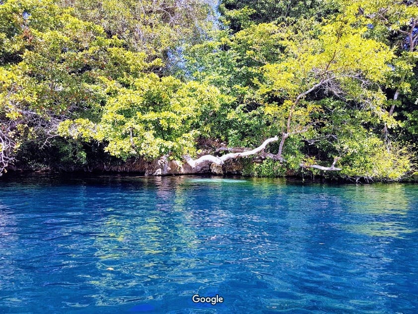 Foto del cenote La Bruja, que se localiza a menos de una hora de Chetumal.- Javier Torres Solana