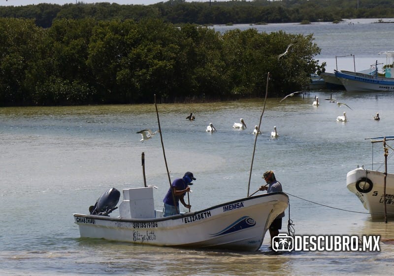 Este puerto es parte del recorrido de la Costa Esmeralda de Yucatán, cuyo nombre lo toma del color que tienen sus aguas en la costa. FOTO: Fidel Interián