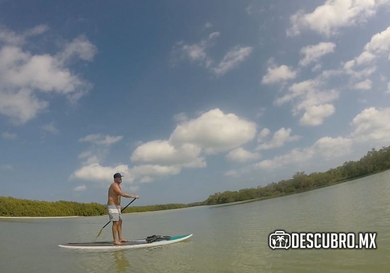 Uno de los atractivos de Holbox es pasear en Kayak por los canales de manglares en Holbox