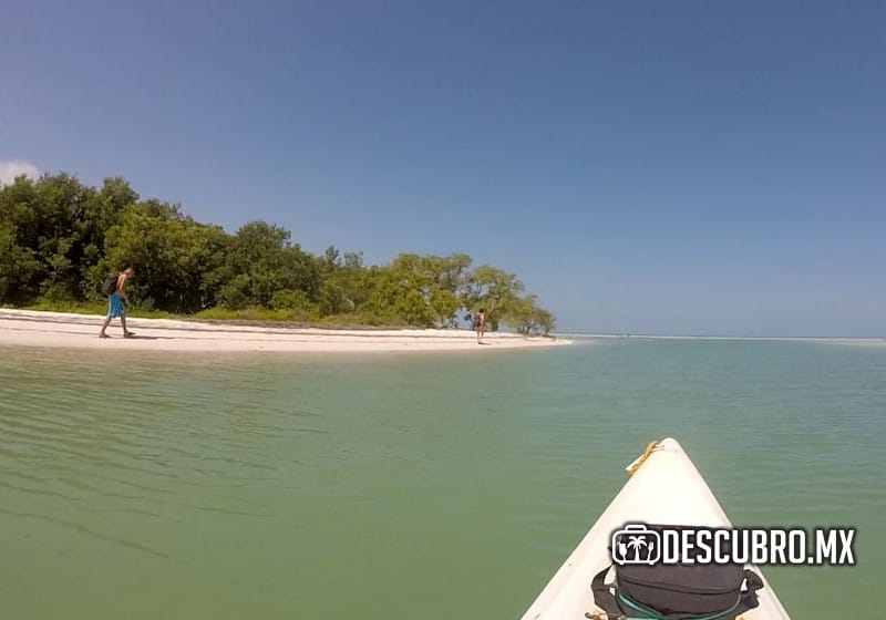 Como es un recorrido en Kayak por los canales de manglares en Holbox