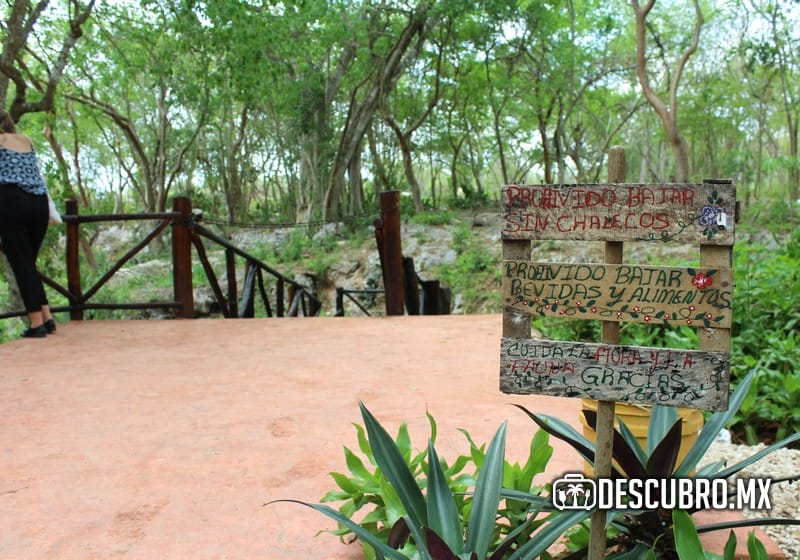 Los principales atractivos de esta reserva son sus manglares