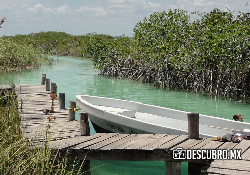 Imagen de la laguna -Flickr Jorge Hervia