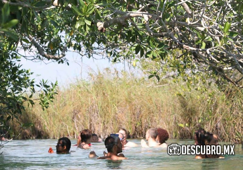 Imagen de la laguna - Tour Sian Ka'an