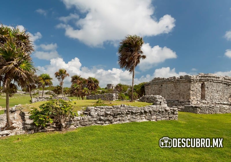 Imagen de la Zona Arqueológica de Muyil - Sirenishotel
