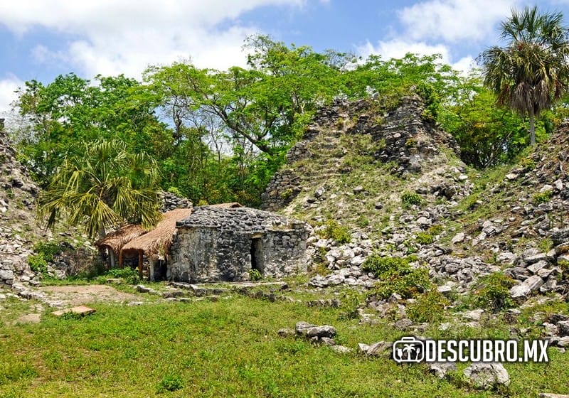 Imagen de la Zona Arqueológica de Muyil - Pinterest