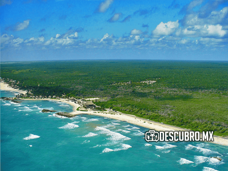 La Reserva de Biosfera de Sian Ka’an es un espacio protegido ubicado en Quintana Roo