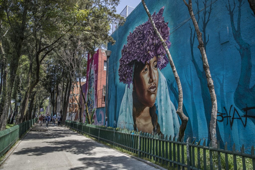 Disfruta sacando las mejores fotografías en este corredor ubicado en la Colonia Guerrero.