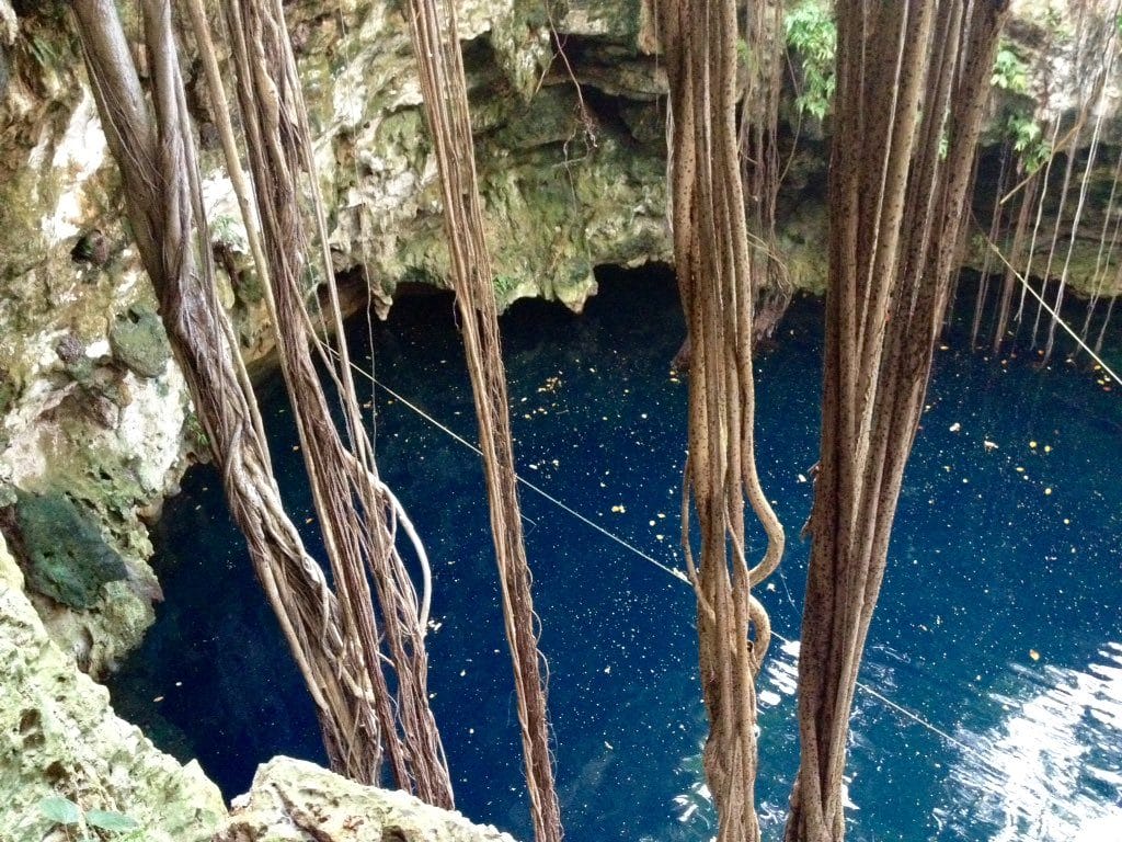 Cenote Lol-Ha.-Foto de viamexico.mx toma en cuenta estas recomendaciones