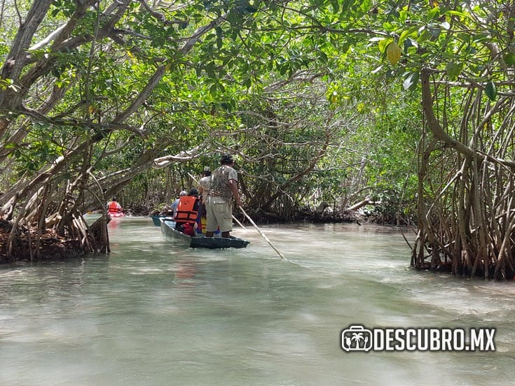 No te pierdas los atractivos del puerto de Sisal.- Luis Zapata
