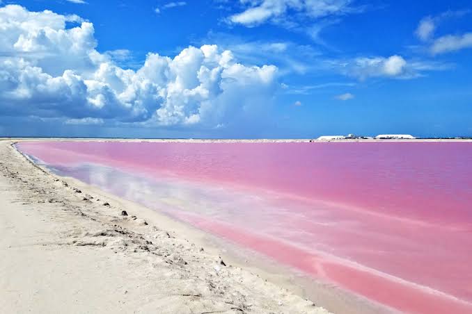 Anímate a conocer Las Coloradas, un lugar que posee la ya famosa Laguna Rosa en Yucatán.
