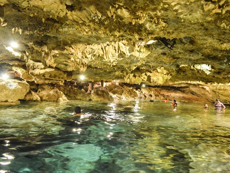 Los manglares de Yucatán, cumplen una gran misión ecológica y son protectores naturales de ciclones y huracanes