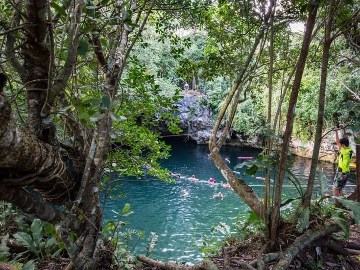 Cenote Verde Lucero en Puerto Morelos