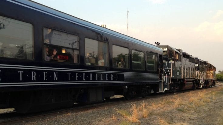 El tren Herradura Express es un viaje por los campos de agave en Jalisco