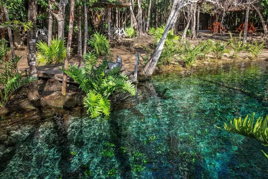 Puedes visitar el cenote corazon de  9 de la mañana a 4:30 de la tarde, todos los días de la semana.