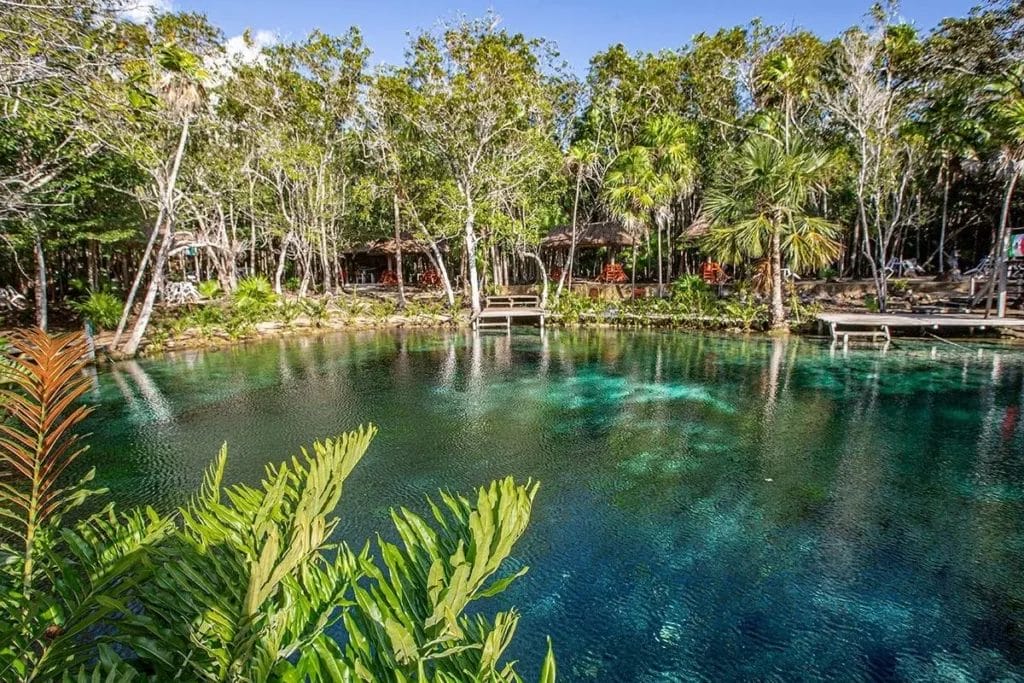 asi es el cenote de coraon el paraíso en tulum