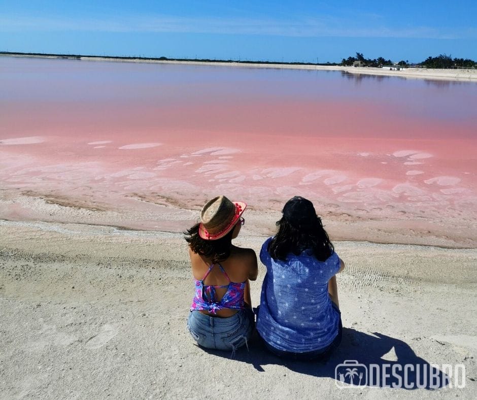 ¿Qué hacer en Las Coloradas? Las playas rosas de Yucatán - Descubro