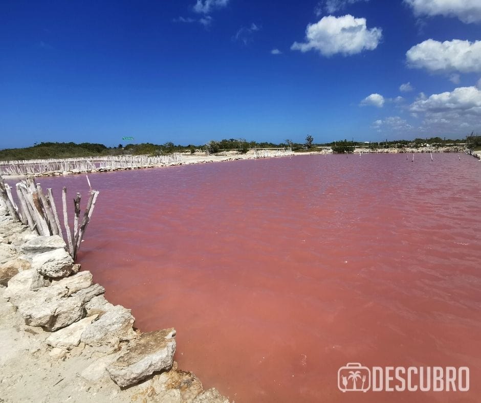 Salineras de Xtampú y sus lagunas rosadas ¡Cerca de Mérida!