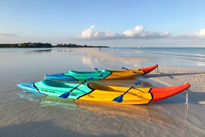 Kayak en manglares es una de las actividades que puedes hacer en la isla de Holbox.