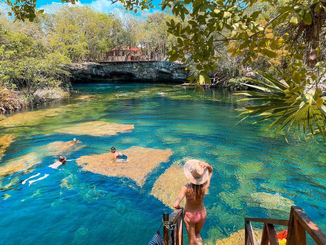 Jardín Del Edén Un Cenote Increíble En El Caribe Mexicano