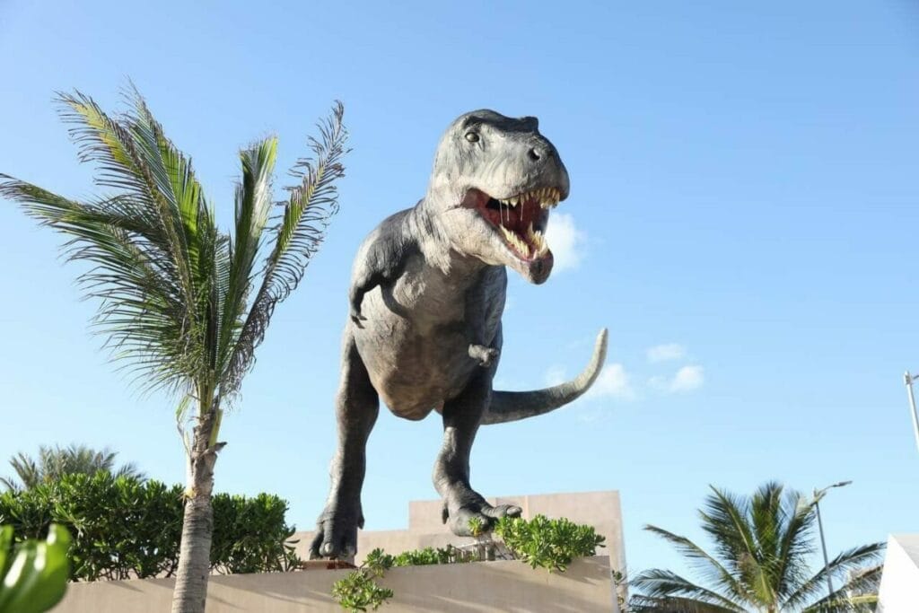 Museo del Meteorito