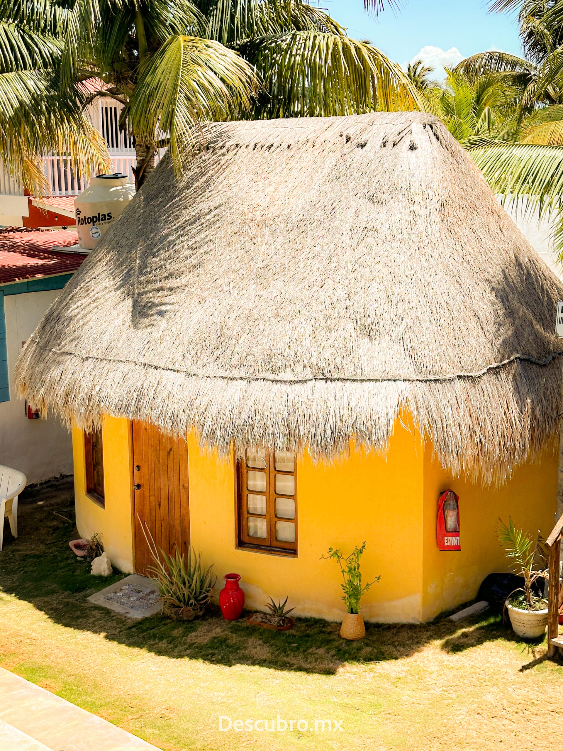 Cabañas y Casas FRIDA, la mejor opción en Chelem, Yucatán