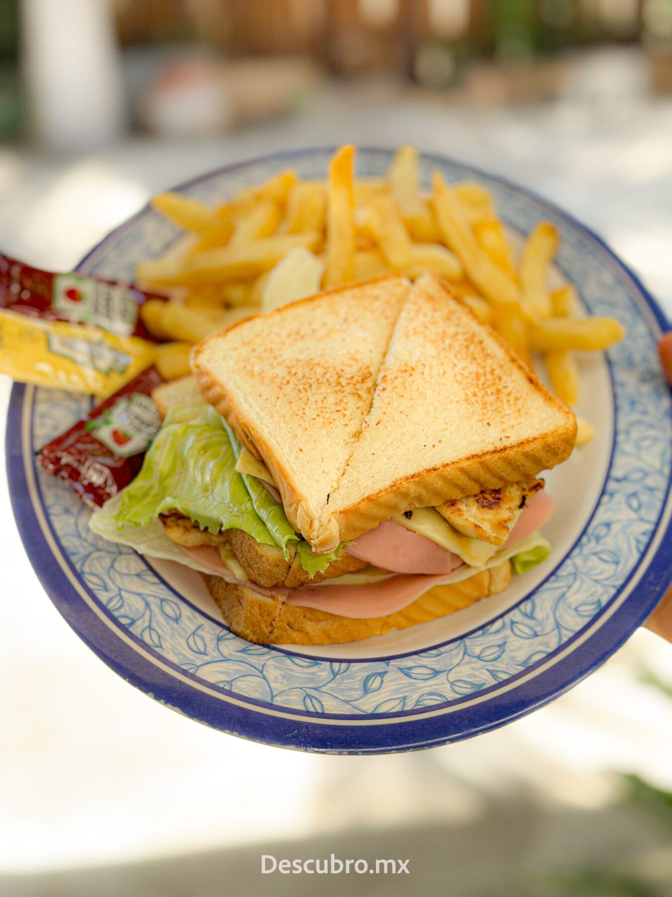 Cabañas y Casas FRIDA, la mejor opción en Chelem, Yucatán