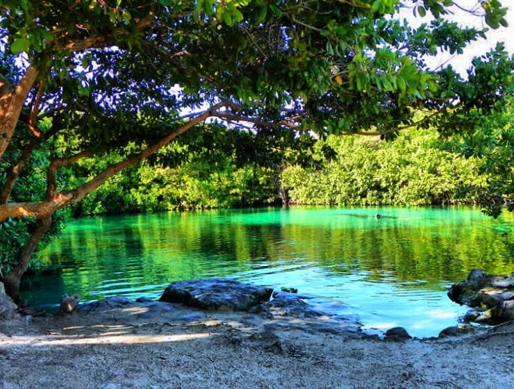 Cenote Manatí, uno de los atractivos de la Península de Yucatán
