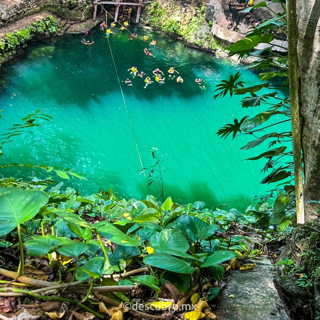 Poza azul de Cenote Zací en Valladolid 