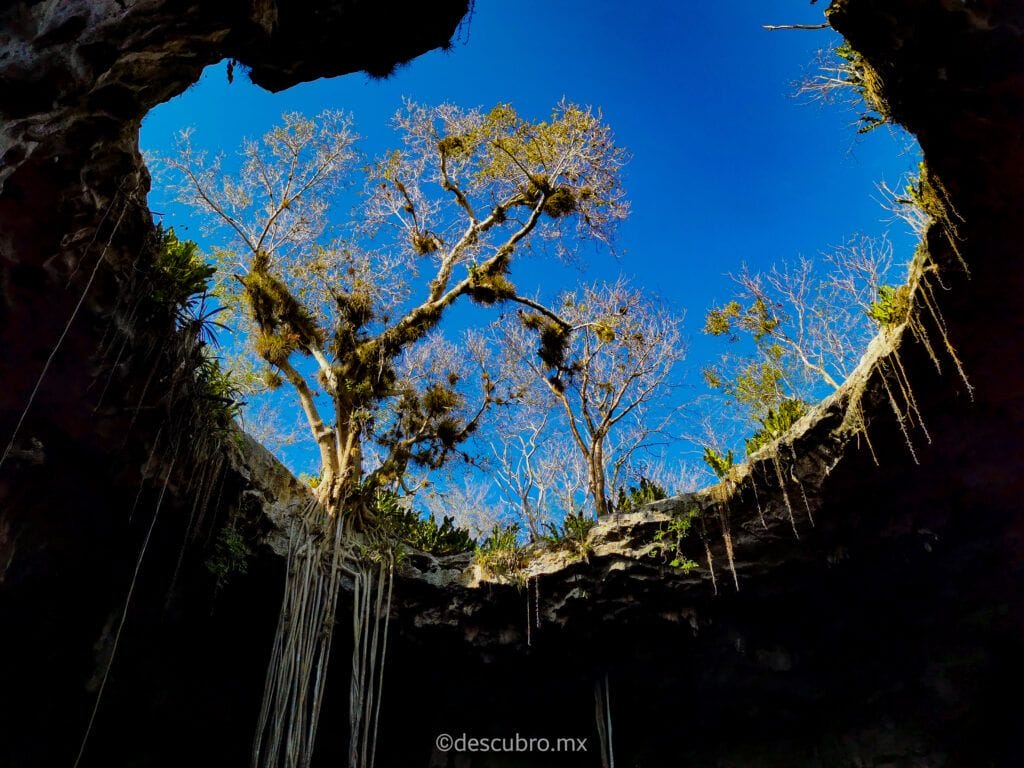 Primer Cenote con elevador, Cenote Santa Bárbara